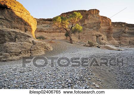 Stock Photography - "Sesriem Canyon, Namib Naukluft Park, Namibia, Africa". Fotosearch