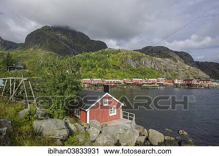 "Settlement of Rorbuer fishermen's cabins, Nusfjord, Lofoten, Nordland, Norway, Europe" View Large Photo Image Stock Image - "Settlement of Rorbuer fishermen's cabins, Nusfjord, Lofoten, Nordland, Norway, Europe". Fotosearch