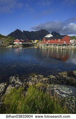 "Settlement with Rorbuer fishermen's cabins, Henningsvaer, Lofoten, Nordland, Norway, Europe" View Large Photo Image Picture - "Settlement with Rorbuer fishermen's cabins, Henningsvaer, Lofoten, Nordland, Norway, Europe". Fotosearch