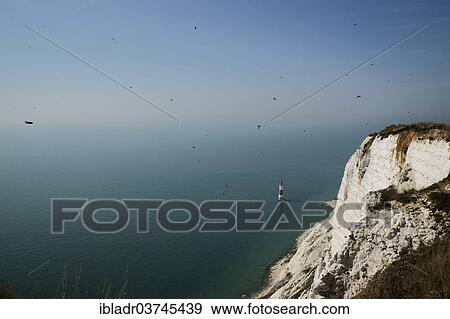 "Seven Sisters cliffs with lighthouse, Beachy Head, East Sussex, England, United Kingdom, Europe" View Large Photo Image Stock Photo - "Seven Sisters cliffs with lighthouse, Beachy Head, East Sussex, England, United Kingdom, Europe". Fotosearch