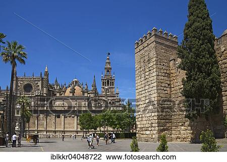 "Seville Cathedral and Giralda and Alcazar of Seville, Barrio Santa Cruz, Seville, Andalucia, Spain, Europe" View Large Photo Image Stock Image - "Seville Cathedral and Giralda and Alcazar of Seville, Barrio Santa Cruz, Seville, Andalucia, Spain, Europe". Fotosearch