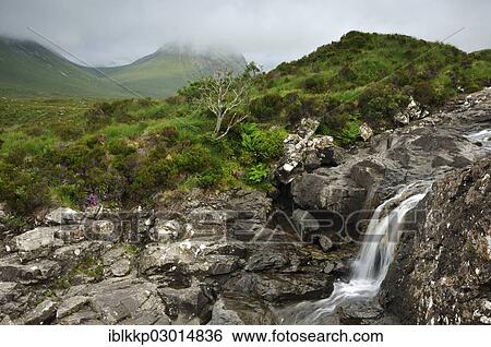 "Sgurr nan Gillean from Sligachan, waterfalls in a mountainous landscape, Schottland, Isle of Skye, Scotland, United Kingdom, Europe" View Large Photo Image Stock Photograph - "Sgurr nan Gillean from Sligachan, waterfalls in a mountainous landscape, Schottland, Isle of Skye, Scotland, United Kingdom, Europe". Fotosearch