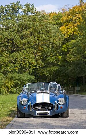 "Shelby Cobra 427, replica" View Large Photo Image Stock Image - "Shelby Cobra 427, replica". Fotosearch