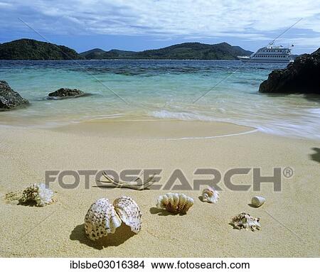"Shells, beach, MB Lagoon Explorer excursion boat at back, Linapacan Strait, Palawan, Mimaropa, Philippines, Asia" View Large Photo Image Picture - "Shells, beach, MB Lagoon Explorer excursion boat at back, Linapacan Strait, Palawan, Mimaropa, Philippines, Asia". Fotosearch