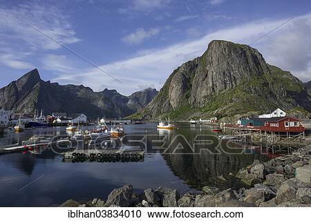 "Sheltered harbour and high mountains, Lofoten, Hamnoya, Nordland, Norway, Europe" View Large Photo Image Stock Image - "Sheltered harbour and high mountains, Lofoten, Hamnoya, Nordland, Norway, Europe". Fotosearch