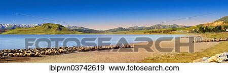 Stock Photo - "Shepherds and sheep on the shore of Lake Van, Van district, Turkey, Asia". Fotosearch