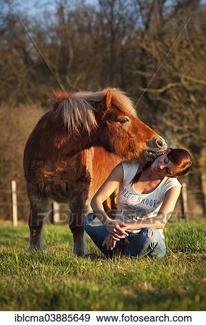 Stock Photo - "Shetland pony, chestnut gelding, nuzzling at a girl's ear, girl sitting cross legged". Fotosearch