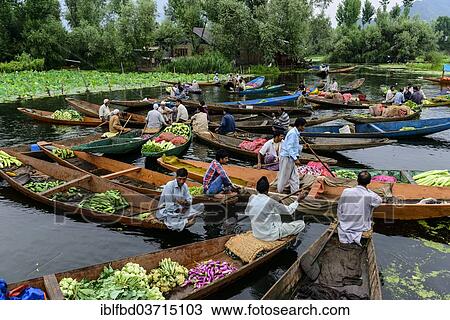 Stock Image - "Shikara boats at a floating market on Dal Lake, Srinagar, Jammu and Kashmir, India, Asia". Fotosearch