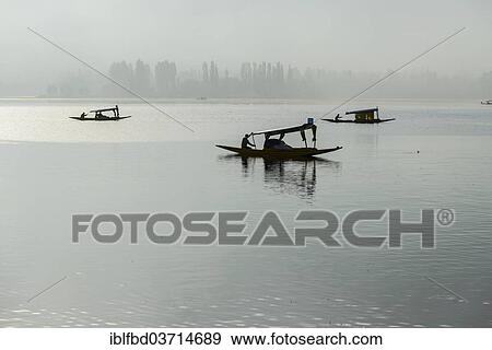 "Shikara boats on Dal Lake in the early morning, Srinagar, Jammu and Kashmir, India, Asia" View Large Photo Image Stock Photo - "Shikara boats on Dal Lake in the early morning, Srinagar, Jammu and Kashmir, India, Asia". Fotosearch