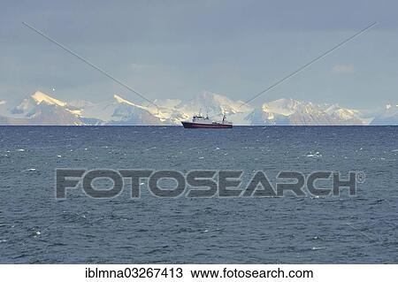 "Ship in the Isfjorden fjord, Isfjorden, Spitsbergen Island, Svalbard Archipelago, Svalbard and Jan Mayen, Norway, Europe" View Large Photo Image Stock Image - "Ship in the Isfjorden fjord, Isfjorden, Spitsbergen Island, Svalbard Archipelago, Svalbard and Jan Mayen, Norway, Europe". Fotosearch