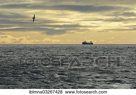 "Ship in the Isfjorden fjord, Isfjorden, Spitsbergen Island, Svalbard Archipelago, Svalbard and Jan Mayen, Norway, Europe" View Large Photo Image Stock Photo - "Ship in the Isfjorden fjord, Isfjorden, Spitsbergen Island, Svalbard Archipelago, Svalbard and Jan Mayen, Norway, Europe". Fotosearch