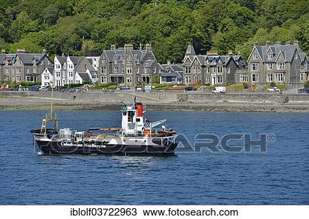 Stock Image - "Ship of the Caledonian MacBrayne shipping company in front of the Victorian houses of the town of Oban, Argyll and Bute, Scotland, United Kingdom, Europe". Fotosearch