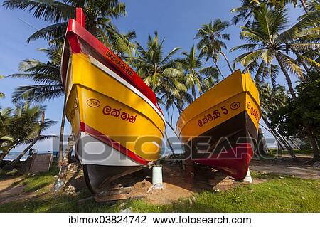 "Ships of a shipbuilder, near Maggona, Kapugoda Region, Western Province, Sri Lanka, Asia" View Large Photo Image Stock Image - "Ships of a shipbuilder, near Maggona, Kapugoda Region, Western Province, Sri Lanka, Asia". Fotosearch