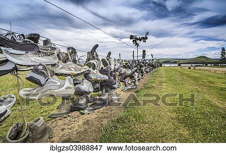 "Shoes on a fence, Catlins, South Island, New Zealand, Oceania" View Large Photo Image Stock Photo - "Shoes on a fence, Catlins, South Island, New Zealand, Oceania". Fotosearch