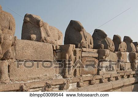 Picture - "Shore Temple of Mahabalipuram, Mamallapuram, Mahabalipuram, Tamil Nadu, India, Asia". Fotosearch