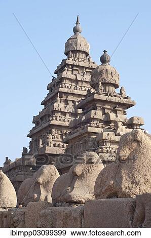 "Shore Temple of Mahabalipuram, Mamallapuram, Mahabalipuram, Tamil Nadu, India, Asia" View Large Photo Image Stock Photo - "Shore Temple of Mahabalipuram, Mamallapuram, Mahabalipuram, Tamil Nadu, India, Asia". Fotosearch