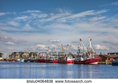 "Shrimp boats in the harbour, Busum, Dithmarschen region, Schleswig-Holstein, Germany, Europe" View Large Photo Image Stock Photo - "Shrimp boats in the harbour, Busum, Dithmarschen region, Schleswig-Holstein, Germany, Europe". Fotosearch