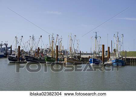 Picture - "Shrimp boats in the port, Norddeich, Norden, East Frisia, Lower Saxony, Germany, Europe". Fotosearch