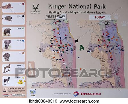 "Sighting board in the Satara Camp, Kruger National Park, South Africa, Africa" View Large Photo Image Stock Image - "Sighting board in the Satara Camp, Kruger National Park, South Africa, Africa". Fotosearch