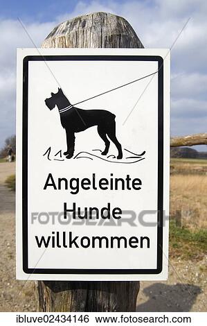 "Sign, Angeleinte Hunde willkommen, German for Leashed dogs welcome, at the entrance to the Geltinger Birk Nature Reserve, Gelting, Schleswig-Holstein, Germany, Europe" View Large Photo Image Stock Photograph - "Sign, Angeleinte Hunde willkommen, German for Leashed dogs welcome, at the entrance to the Geltinger Birk Nature Reserve, Gelting, Schleswig-Holstein, Germany, Europe". Fotosearch