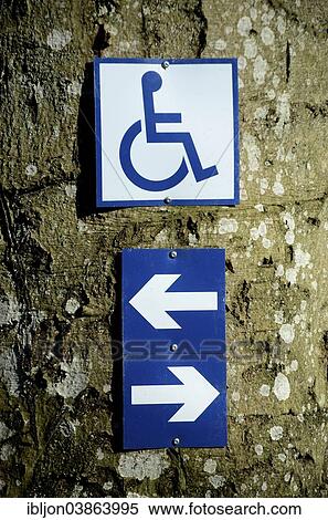 "Sign at a tree on a nature trail for disabled people, Snogeholm, Sweden, Europe" View Large Photo Image Stock Photography - "Sign at a tree on a nature trail for disabled people, Snogeholm, Sweden, Europe". Fotosearch