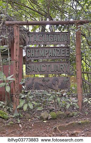 Stock Image - "Sign at the entrance to the Tacugama Chimpanzee Sanctuary, a chimpanzee conservation project, Tacugama, Western Area region, Sierra Leone, Africa". Fotosearch