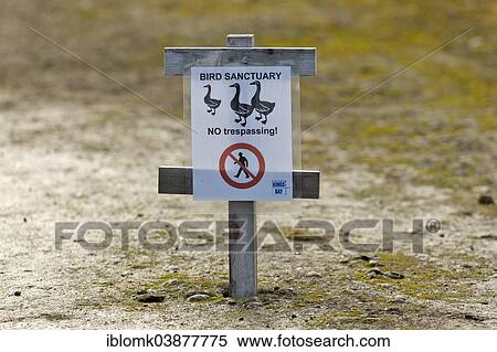 "Sign, bird sanctuary, Ny-Alesund, Spitsbergen, Svalbard Islands, Svalbard and Jan Mayen, Norway, Europe" View Large Photo Image Stock Photography - "Sign, bird sanctuary, Ny-Alesund, Spitsbergen, Svalbard Islands, Svalbard and Jan Mayen, Norway, Europe". Fotosearch