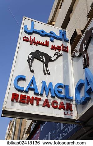 Sign, Camel Rent a Car company, with a camel in the logo, United Arab Emirates, Dubai, Middle East, Asia View Large Photo Image Stock Photograph - Sign, Camel Rent a Car company, with a camel in the logo, United Arab Emirates, Dubai, Middle East, Asia. Fotosearch