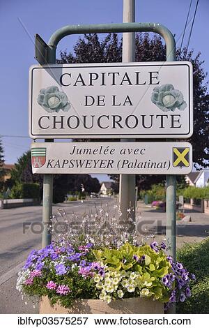 "Sign """"Capitale de la Choucroute"""", the capital of sauerkraut, on the village boundary of Krautergersheim, Krautergersheim, Departement Bas-Rhin, Alsace, France, Europe" View Large Photo Image Stock Photo - "Sign """"Capitale de la Choucroute"""", the capital of sauerkraut, on the village boundary of Krautergersheim, Krautergersheim, Departement Bas-Rhin, Alsace, France, Europe". Fotosearch