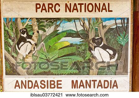 Stock Image - "Sign depicting lemurs in the jungle, Andasibe-Mantadia National Park, Madagascar, Africa". Fotosearch