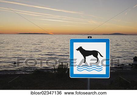 Stock Photograph - "Sign for a dog beach, sunset by the seaside, Novalja, Pag Island, Adriatic Sea, Gulf of Kvarner, Croatia, Europe". Fotosearch