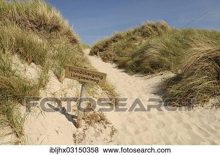 Stock Photo - "Sign for a passage though a dune, """"Stranduebergang Langseerweg"""", Weststrand, Nationalpark Vorpommersche Boddenlandschaft, Darss, Mecklenburg-Western Pomerania, Germany, Europe". Fotosearch