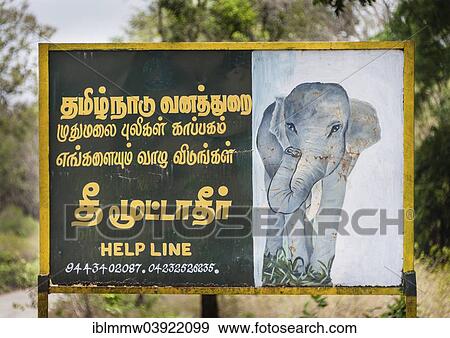 "Sign for the protection of elephants, Mudumalai Wildlife Sanctuary, Tamil Nadu, India, Asia" View Large Photo Image Stock Photo - "Sign for the protection of elephants, Mudumalai Wildlife Sanctuary, Tamil Nadu, India, Asia". Fotosearch