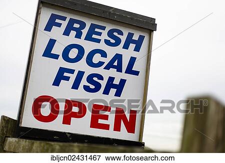 "Sign, Fresh Local Fish, England, United Kingdom, Europe" View Large Photo Image Stock Photo - "Sign, Fresh Local Fish, England, United Kingdom, Europe". Fotosearch
