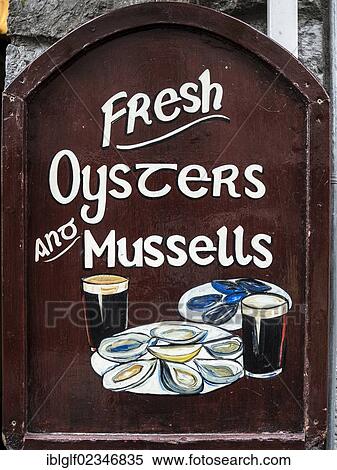 "Sign, Fresh Oysters and Mussells, Galway, County Galway, Republic of Ireland, Europe, PublicGround" View Large Photo Image Stock Photography - "Sign, Fresh Oysters and Mussells, Galway, County Galway, Republic of Ireland, Europe, PublicGround". Fotosearch