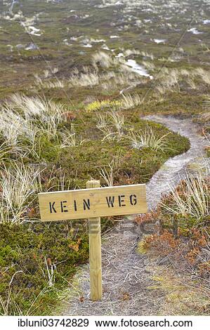 "Sign, """"Kein Weg"""", German for """"No Way"""" in the dunes, Rantum, Sylt, North Frisian Islands, Schleswig-Holstein, Germany, Europe" View Large Photo Image Stock Photo - "Sign, """"Kein Weg"""", German for """"No Way"""" in the dunes, Rantum, Sylt, North Frisian Islands, Schleswig-Holstein, Germany, Europe". Fotosearch