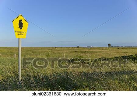 "Sign, Naturschutzgebiet, German for nature reserve at the Schleimuende Bird Sanctuary, Schleswig-Holstein, Germany, Europe" View Large Photo Image Stock Image - "Sign, Naturschutzgebiet, German for nature reserve at the Schleimuende Bird Sanctuary, Schleswig-Holstein, Germany, Europe". Fotosearch