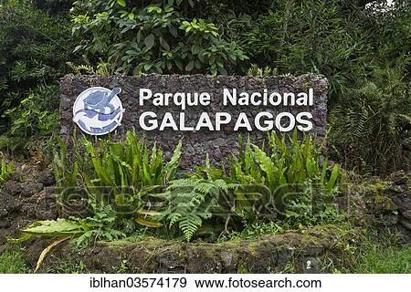 "Sign of the Parque Nacional Galapagos, Galapagos National Park, Isabela Island, Galapagos Islands, Ecuador, South America" View Large Photo Image Stock Photo - "Sign of the Parque Nacional Galapagos, Galapagos National Park, Isabela Island, Galapagos Islands, Ecuador, South America". Fotosearch