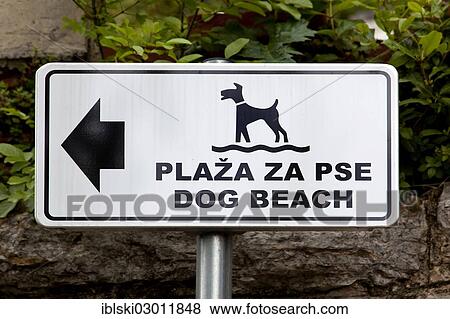 "Sign on a beach for dogs in Opatija, Istria, Croatia, Europe, Opatija, Croatia, Europe" View Large Photo Image Stock Photo - "Sign on a beach for dogs in Opatija, Istria, Croatia, Europe, Opatija, Croatia, Europe". Fotosearch