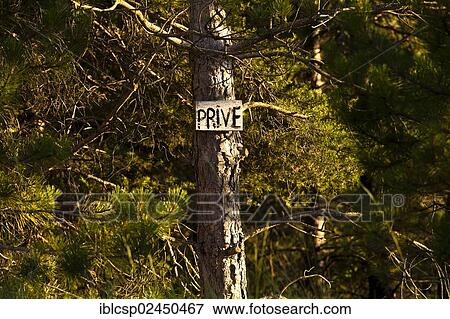 "Sign """"Prive"""", French for """"Private"""", in the forest, Provence, France, Europe" View Large Photo Image Stock Photo - "Sign """"Prive"""", French for """"Private"""", in the forest, Provence, France, Europe". Fotosearch