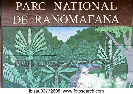 Stock Photo - "Sign the jungle, Ranomafana National Park, Madagascar, Africa". Fotosearch
