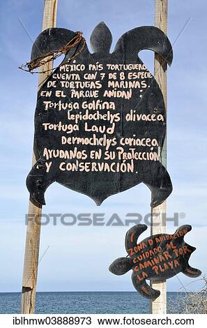 "Sign, turtle protection area, Cabo Pulmo National Park, near Punta Arena, Baja California, Mexico, North America" View Large Photo Image Stock Image - "Sign, turtle protection area, Cabo Pulmo National Park, near Punta Arena, Baja California, Mexico, North America". Fotosearch