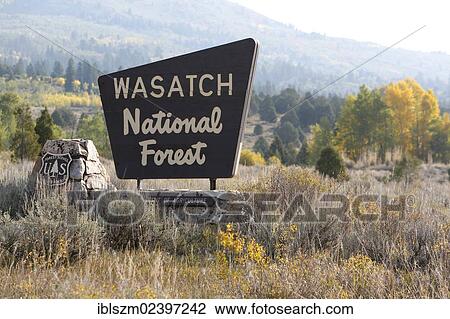 "Sign, Wasatch National Forest, Mirror Lake Scenic Byway, Route 150, Utah, USA" View Large Photo Image Stock Image - "Sign, Wasatch National Forest, Mirror Lake Scenic Byway, Route 150, Utah, USA". Fotosearch