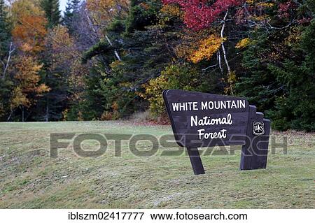 Sign, White Mountain National Forest, New Hampshire, USA View Large Photo Image Stock Photo - Sign, White Mountain National Forest, New Hampshire, USA. Fotosearch
