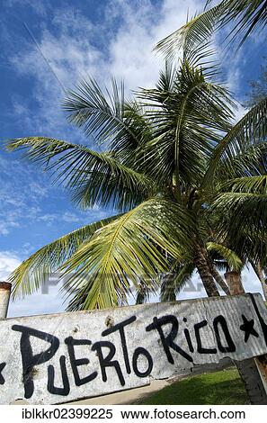 "Sign with the words Puerto Rico, Luquillo Beach, Puerto Rico, Caribbean, North America" View Large Photo Image Stock Photography - "Sign with the words Puerto Rico, Luquillo Beach, Puerto Rico, Caribbean, North America". Fotosearch