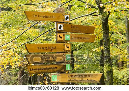 Stock Photo - "Signposts, Bavarian Forest National Park game reserve, Neuschonau, Lower Bavaria, Bavaria, Germany, Europe". Fotosearch
