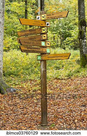 "Signposts, Bavarian Forest National Park game reserve, Neuschonau, Lower Bavaria, Bavaria, Germany, Europe" View Large Photo Image Stock Photo - "Signposts, Bavarian Forest National Park game reserve, Neuschonau, Lower Bavaria, Bavaria, Germany, Europe". Fotosearch
