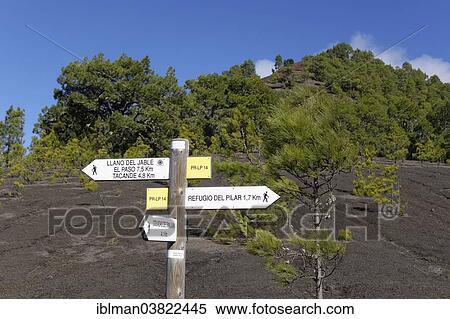 "Signposts for Hikers, Llano de Jable near El Paso, La Palma, Canary Islands, Spain, Europe" View Large Photo Image Stock Photography - "Signposts for Hikers, Llano de Jable near El Paso, La Palma, Canary Islands, Spain, Europe". Fotosearch