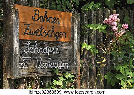 "Signs on a fence, beans, plums and schnaps for sale, farm shop, Regensberg, Upper Franconia, Bavaria, Germany, Europe" View Large Photo Image Stock Photo - "Signs on a fence, beans, plums and schnaps for sale, farm shop, Regensberg, Upper Franconia, Bavaria, Germany, Europe". Fotosearch