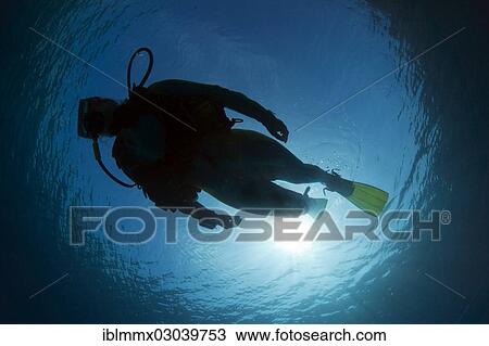 "Silhouette of a scuba diver under water, Pazifik, Australia, Oceania" View Large Photo Image Stock Image - "Silhouette of a scuba diver under water, Pazifik, Australia, Oceania". Fotosearch